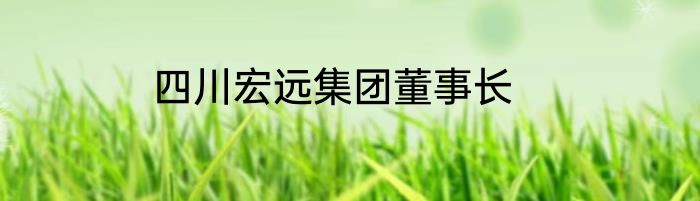 四川宏远集团董事长