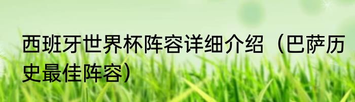 西班牙世界杯阵容详细介绍（巴萨历史最佳阵容）