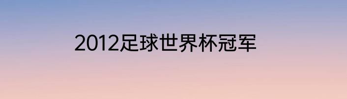 2012足球世界杯冠军