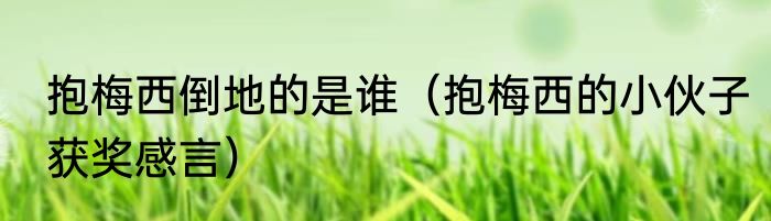 抱梅西倒地的是谁（抱梅西的小伙子获奖感言）