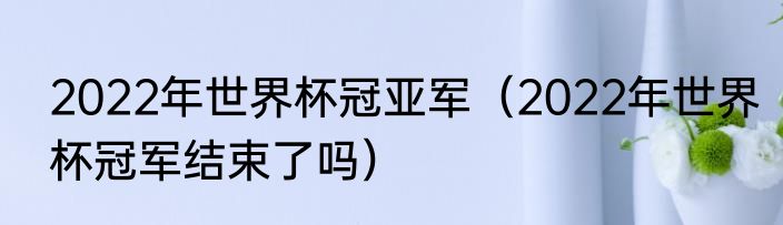 2022年世界杯冠亚军（2022年世界杯冠军结束了吗）