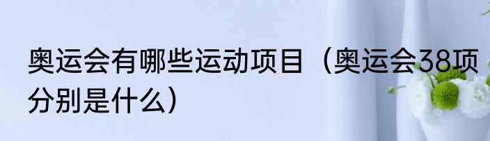奥运会有哪些运动项目（奥运会38项分别是什么）