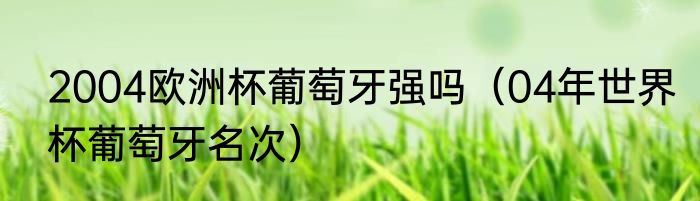 2004欧洲杯葡萄牙强吗（04年世界杯葡萄牙名次）