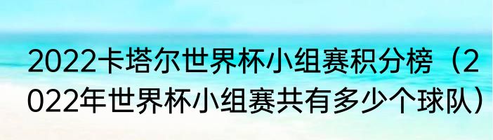 2022卡塔尔世界杯小组赛积分榜（2022年世界杯小组赛共有多少个球队）