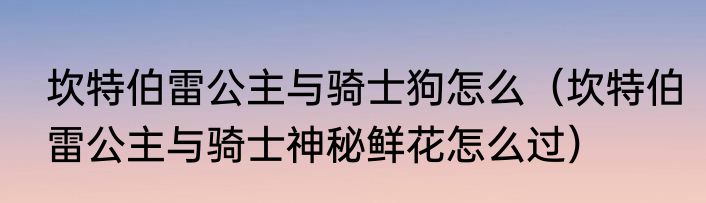 坎特伯雷公主与骑士狗怎么（坎特伯雷公主与骑士神秘鲜花怎么过）