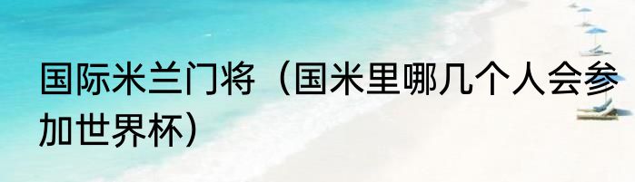 国际米兰门将（国米里哪几个人会参加世界杯）