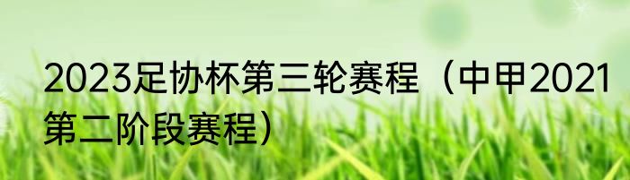 2023足协杯第三轮赛程（中甲2021第二阶段赛程）