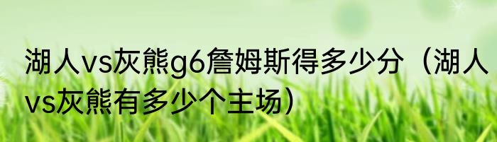 湖人vs灰熊g6詹姆斯得多少分（湖人vs灰熊有多少个主场）