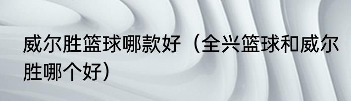 威尔胜篮球哪款好（全兴篮球和威尔胜哪个好）
