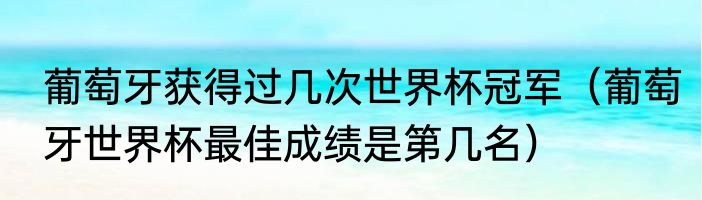 葡萄牙获得过几次世界杯冠军（葡萄牙世界杯最佳成绩是第几名）