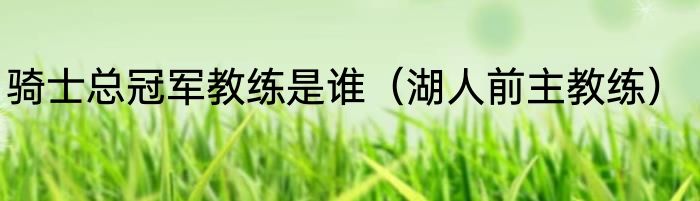 骑士总冠军教练是谁（湖人前主教练）