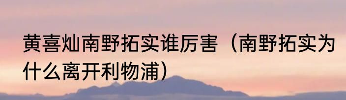 黄喜灿南野拓实谁厉害（南野拓实为什么离开利物浦）