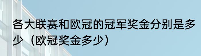 各大联赛和欧冠的冠军奖金分别是多少（欧冠奖金多少）