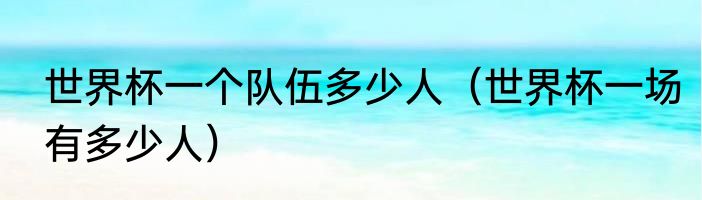 世界杯一个队伍多少人（世界杯一场有多少人）