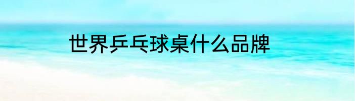 世界乒乓球桌什么品牌