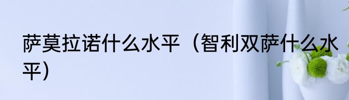 萨莫拉诺什么水平（智利双萨什么水平）
