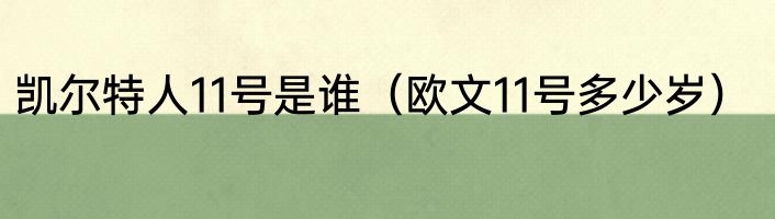 凯尔特人11号是谁（欧文11号多少岁）