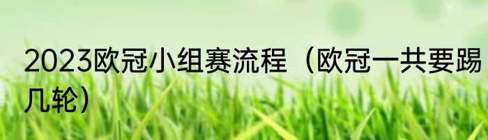 2023欧冠小组赛流程（欧冠一共要踢几轮）