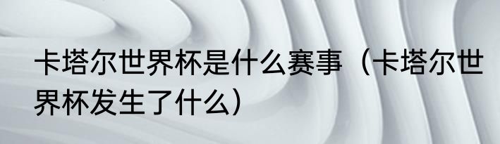 卡塔尔世界杯是什么赛事（卡塔尔世界杯发生了什么）