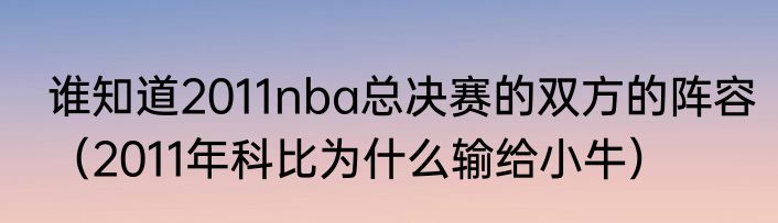 谁知道2011nba总决赛的双方的阵容（2011年科比为什么输给小牛）
