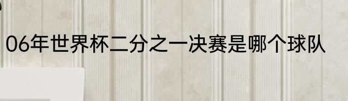 06年世界杯二分之一决赛是哪个球队