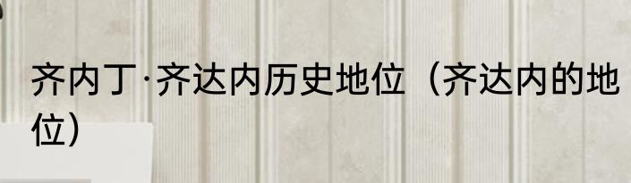 齐内丁·齐达内历史地位（齐达内的地位）