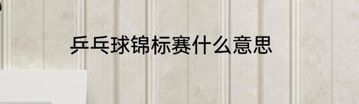 乒乓球锦标赛什么意思