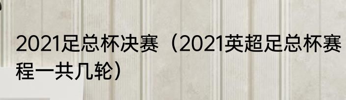 2021足总杯决赛（2021英超足总杯赛程一共几轮）