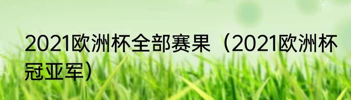 2021欧洲杯全部赛果（2021欧洲杯冠亚军）