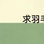 求羽毛球赛主题，简短一些