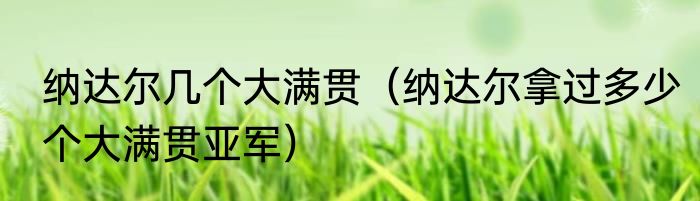 纳达尔几个大满贯（纳达尔拿过多少个大满贯亚军）