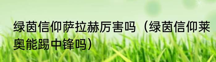 绿茵信仰萨拉赫厉害吗（绿茵信仰莱奥能踢中锋吗）
