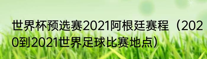 世界杯预选赛2021阿根廷赛程（2020到2021世界足球比赛地点）