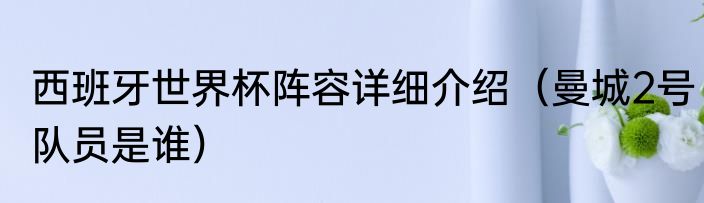 西班牙世界杯阵容详细介绍（曼城2号队员是谁）