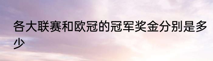 各大联赛和欧冠的冠军奖金分别是多少
