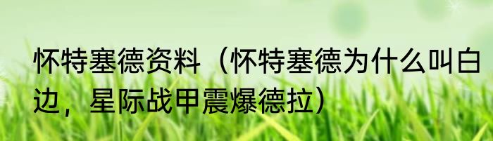 怀特塞德资料（怀特塞德为什么叫白边，星际战甲震爆德拉）