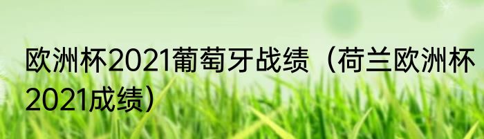 欧洲杯2021葡萄牙战绩（荷兰欧洲杯2021成绩）