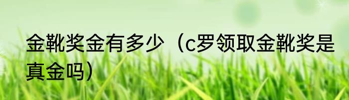 金靴奖金有多少（c罗领取金靴奖是真金吗）