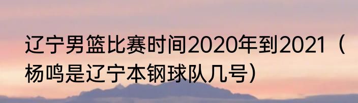 辽宁男篮比赛时间2020年到2021（杨鸣是辽宁本钢球队几号）