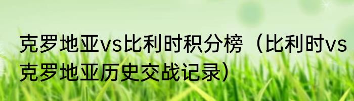 克罗地亚vs比利时积分榜（比利时vs克罗地亚历史交战记录）