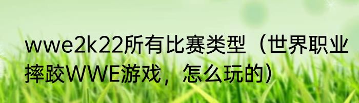 wwe2k22所有比赛类型（世界职业摔跤WWE游戏，怎么玩的）