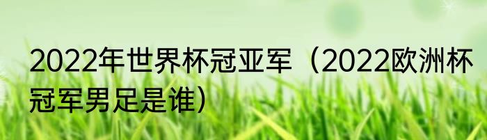 2022年世界杯冠亚军（2022欧洲杯冠军男足是谁）