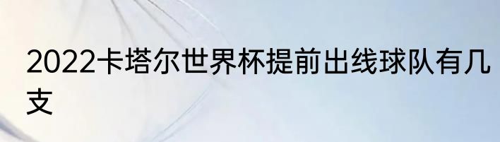 2022卡塔尔世界杯提前出线球队有几支