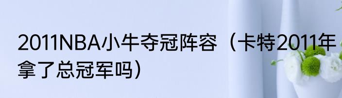 2011NBA小牛夺冠阵容（卡特2011年拿了总冠军吗）
