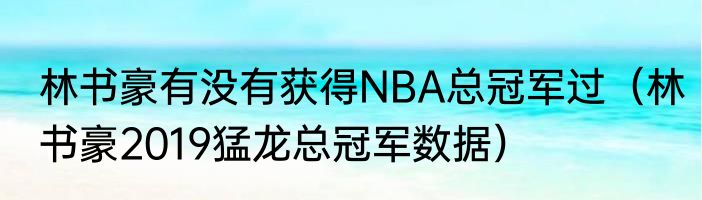 林书豪有没有获得NBA总冠军过（林书豪2019猛龙总冠军数据）