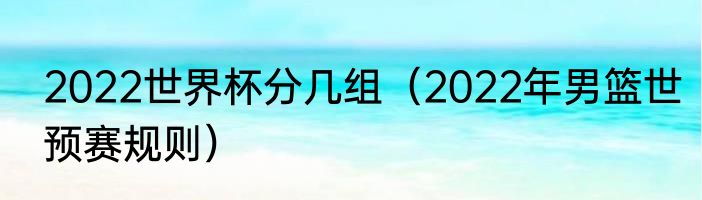2022世界杯分几组（2022年男篮世预赛规则）