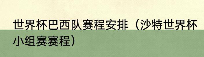 世界杯巴西队赛程安排（沙特世界杯小组赛赛程）