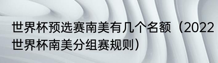 世界杯预选赛南美有几个名额（2022世界杯南美分组赛规则）