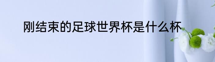 刚结束的足球世界杯是什么杯