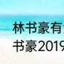 林书豪有没有获得NBA总冠军过（林书豪2019猛龙总冠军数据）